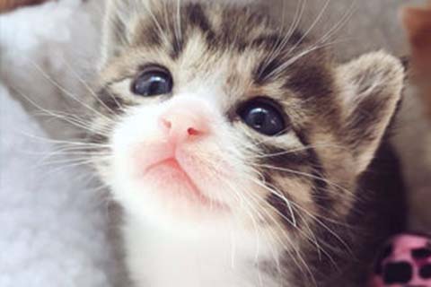 http://zhuhai.vdtfzz.com/post/208.html|珠海人工试管