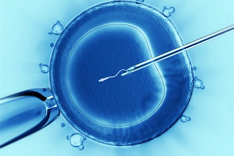 http://zhuhai.vdtfzz.com/post/198.html|珠海代生助孕