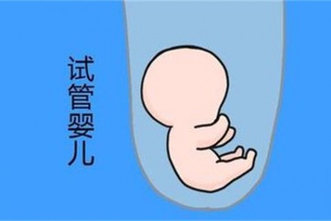 http://zhuhai.vdtfzz.com/post/194.html|珠海新闻中心