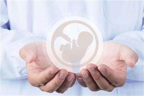 http://zhuhai.vdtfzz.com/post/214.html|珠海人工试管